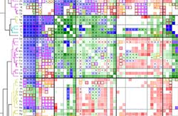 Map that shows grid of colors—various shades of blue, green, light red—in square cells within the grid.