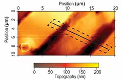 AFM tomography image of domain formation on poling in MAPbI3 crystal.